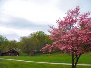 Camp Wyman Transformation