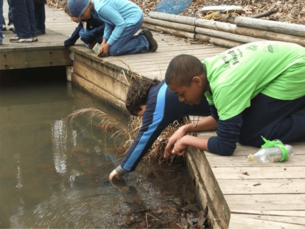 Two students lean and reach their arms down to a small pond from a wooden walkway