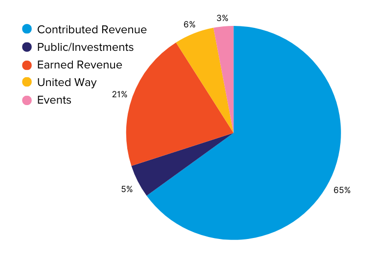 a pie chart illustrating sources of revenue