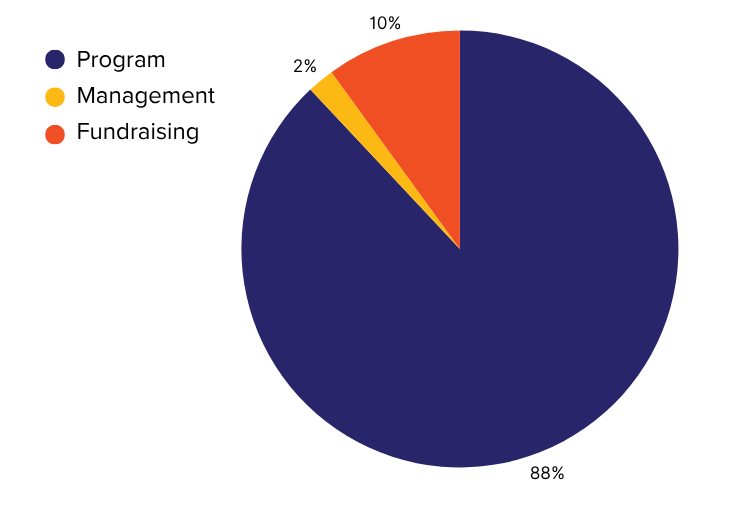Pie chart of expense data for 2025
