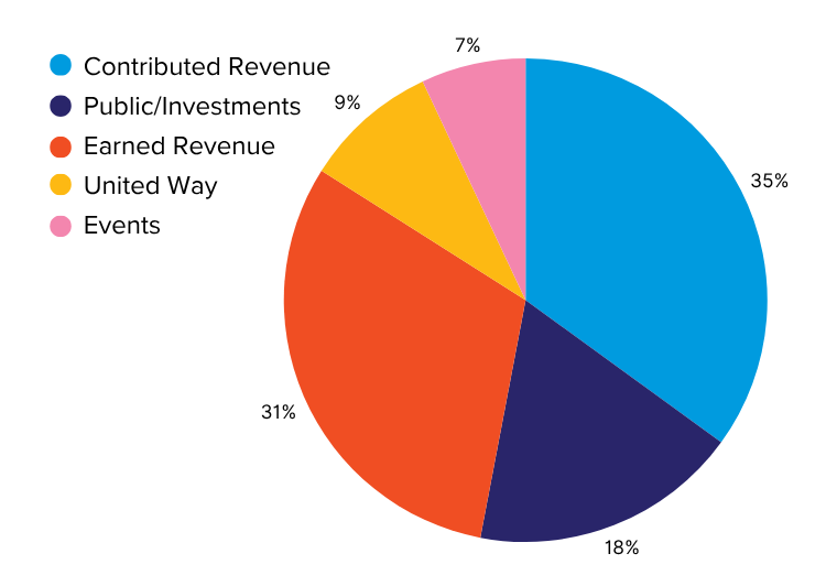 Pie Chart of 2025 Revenue Data